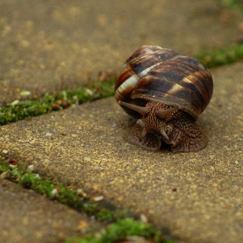 Photo #13682050