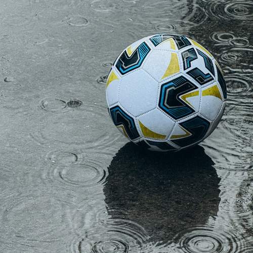 Photo #13682055
