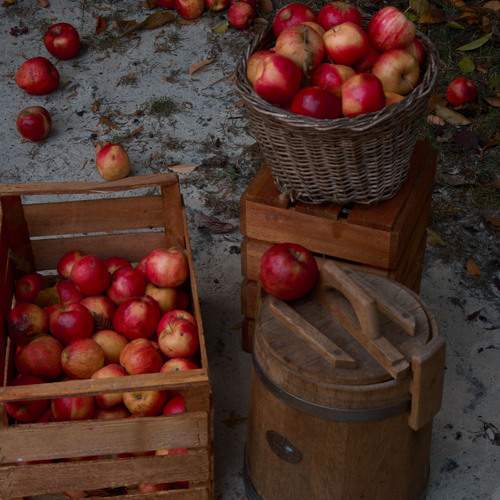 Photo #13682077