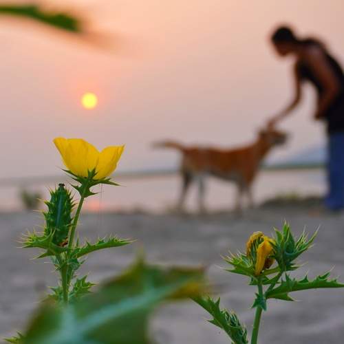 Photo #13682109
