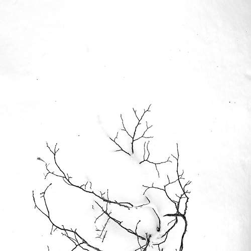Photo #13682180