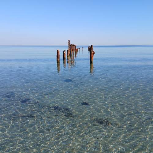 Photo #13682200