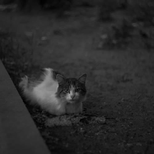Photo #13682317