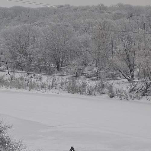 Photo #13682337