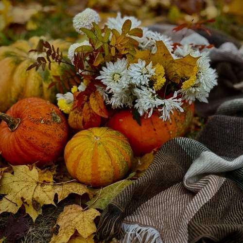 Photo #13682374