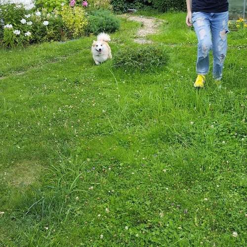 Photo #13682379