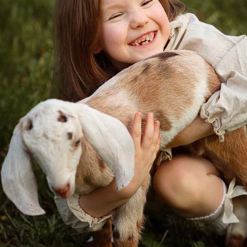Photo #13682388