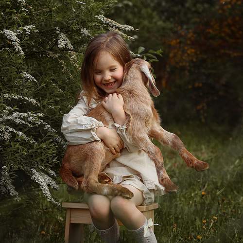 Photo #13682393
