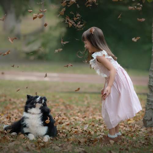 Photo #13682440