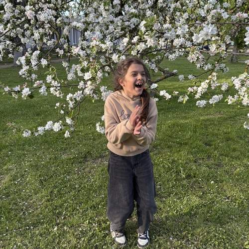 Photo #13682471