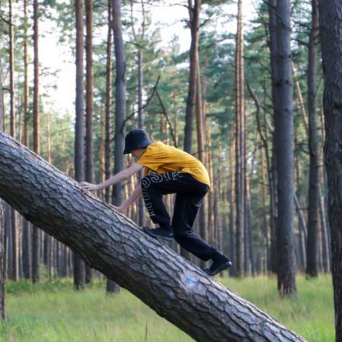 Photo #13682561