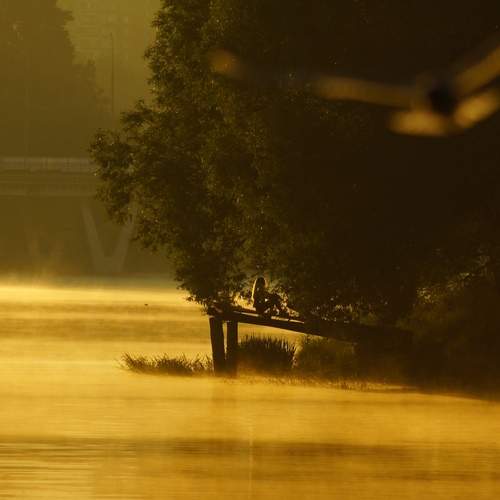 Photo #13682609