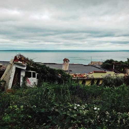 Photo #13682628