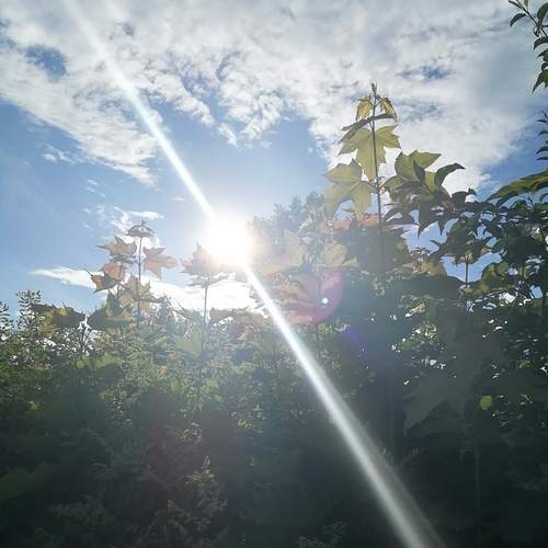 Photo #13682733