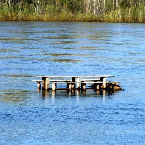 Photo #13682787