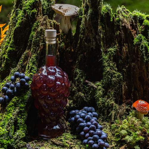 Photo #13682790