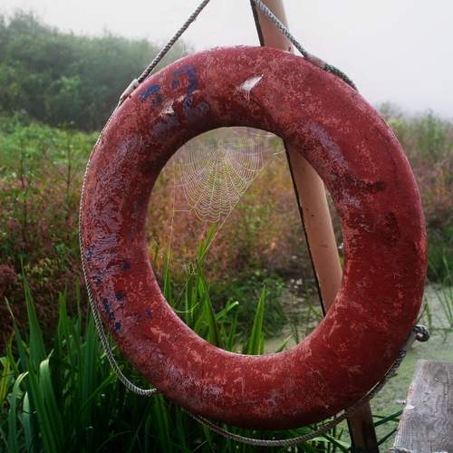 Photo #13682936