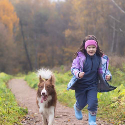 Photo #13683074