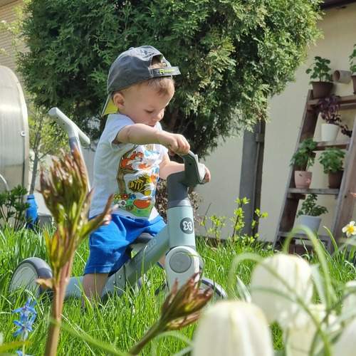 Photo #13683102