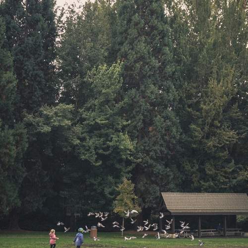 Photo #13683108