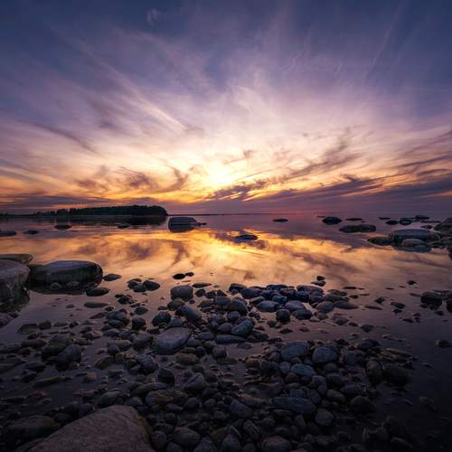 Photo #13683132