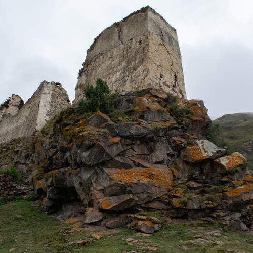 Photo #13683150