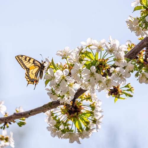 Photo #13683155