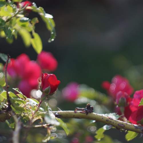 Photo #13683169