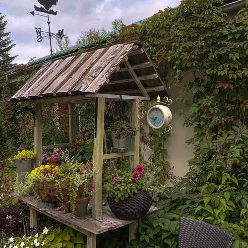 Photo #13683175