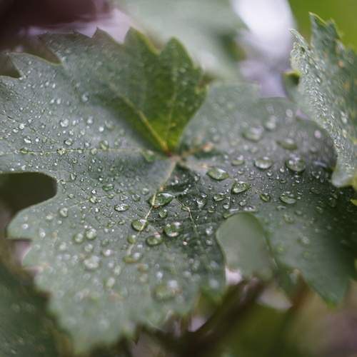 Photo #13683182