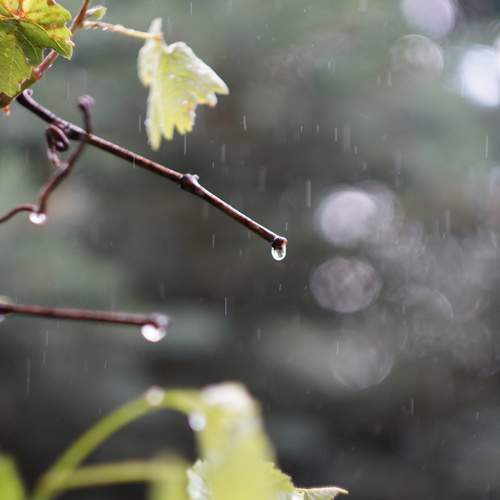 Photo #13683187