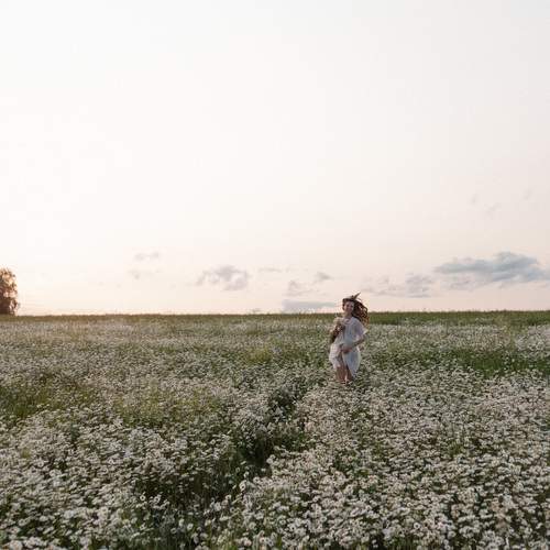 Photo #13683225