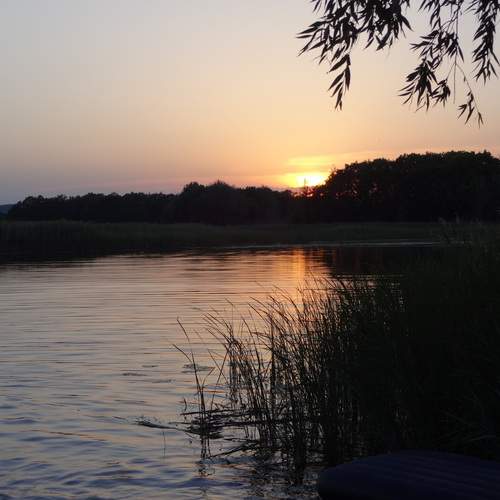Photo #13683258