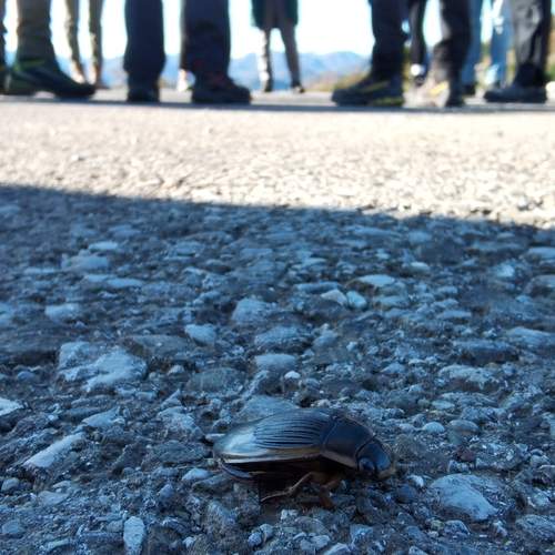 Photo #13683307