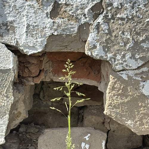 Photo #13683352