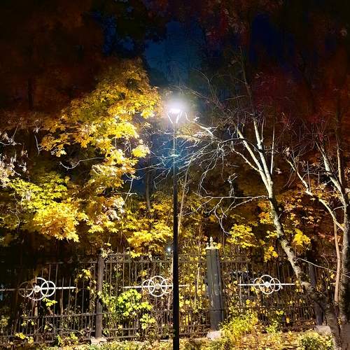 Photo #13683359