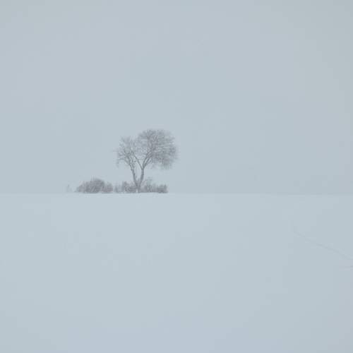 Photo #13683362
