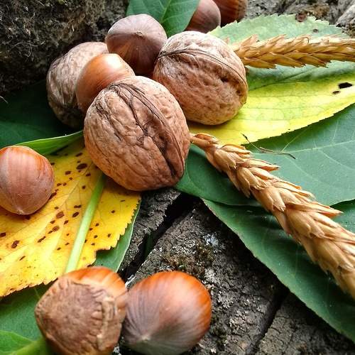 Photo #13683424