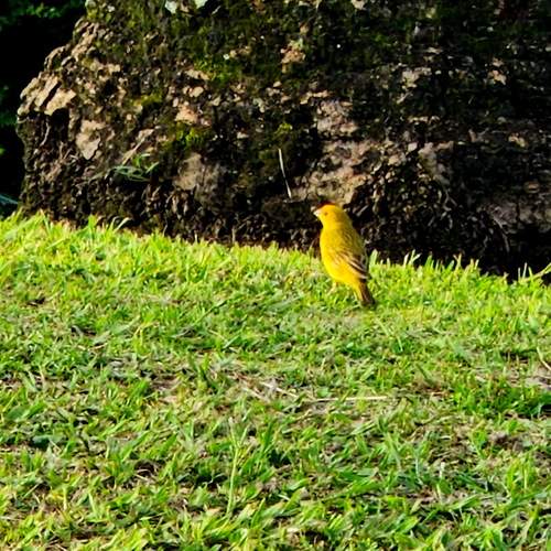 Photo #13683431
