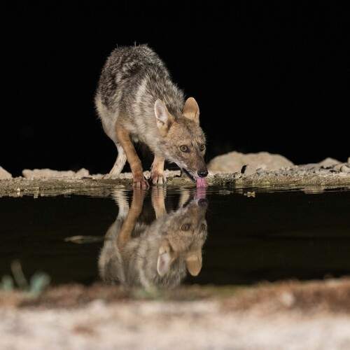 Photo #13683435