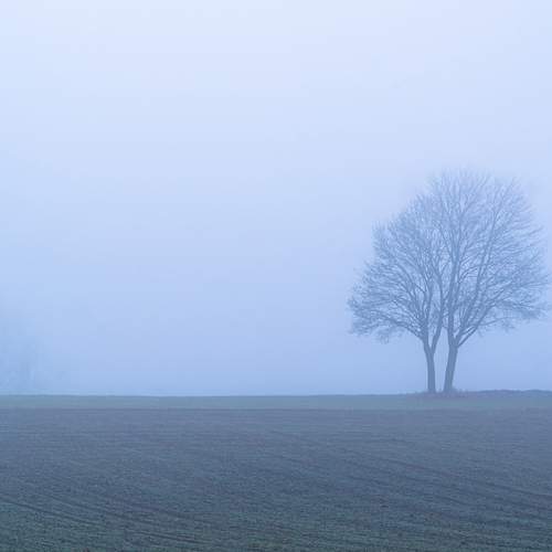 Together in Solitude