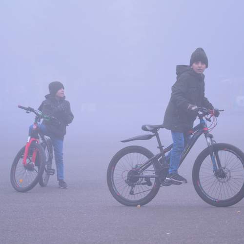 Photo #13683489