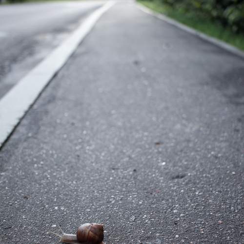 Photo #13683574