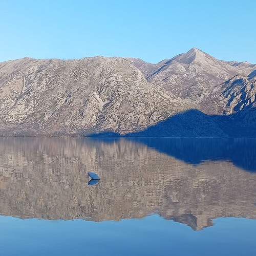 Photo #13683630