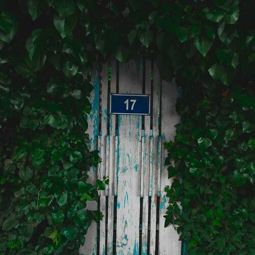 Photo #13683648
