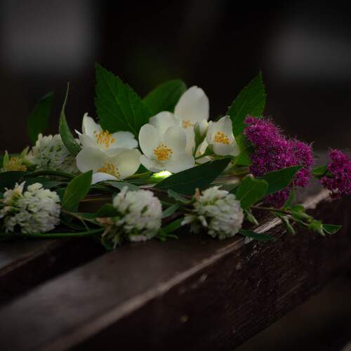 Photo #13683660