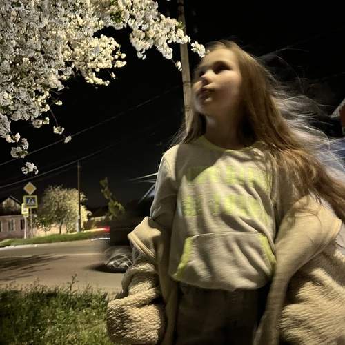 Photo #13683666
