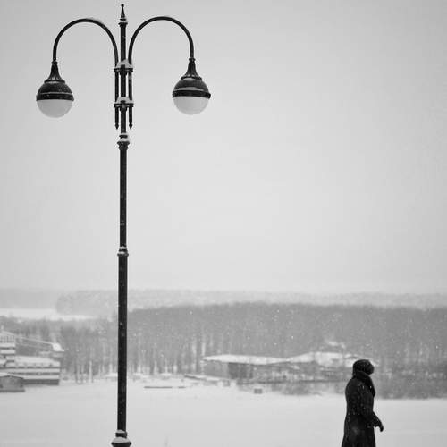 Photo #13683669