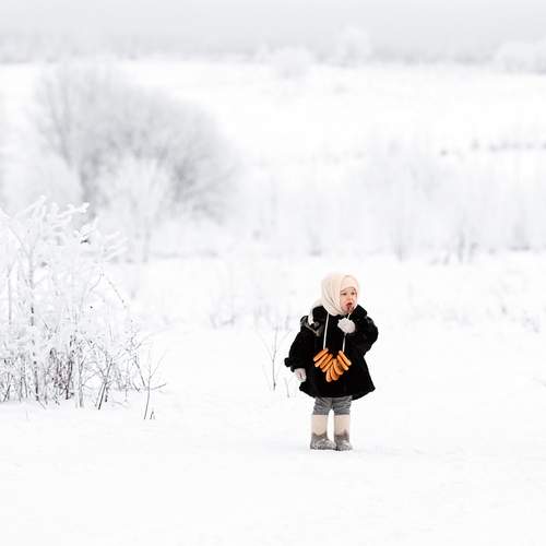 Photo #13683786