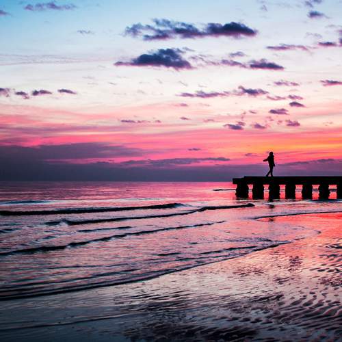 Photo #13683802